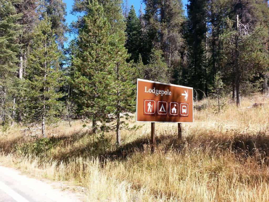 Lodgepole Campground - Sequoia and Kings Canyon National Park
