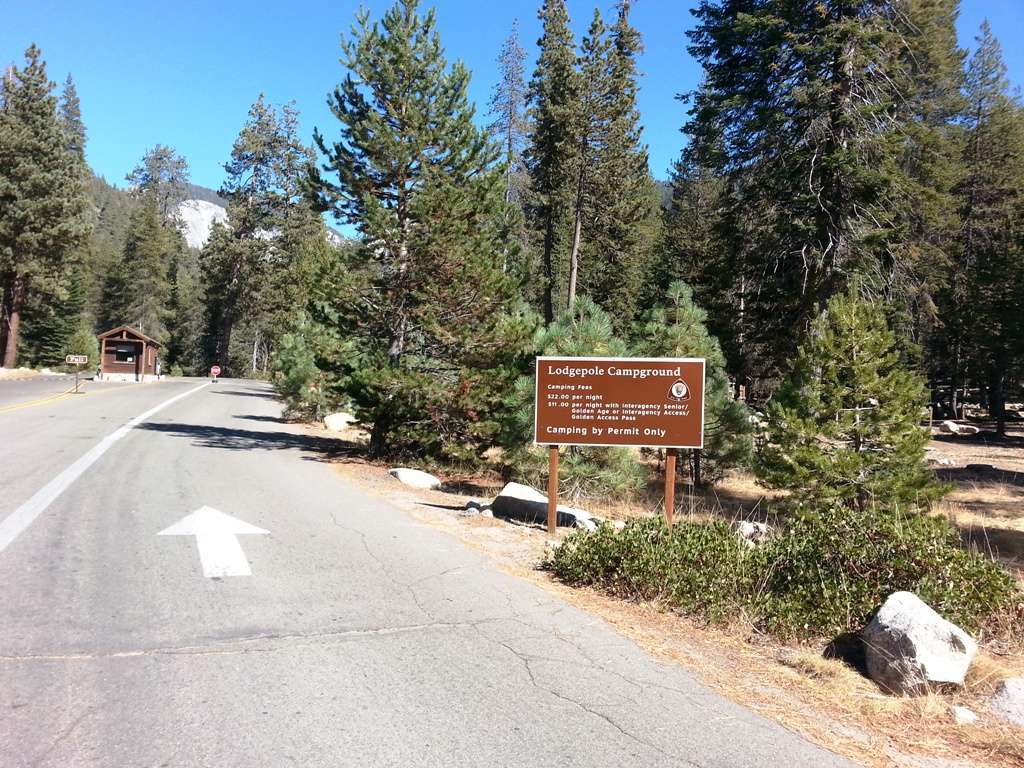 Lodgepole Campground - Sequoia and Kings Canyon National Park