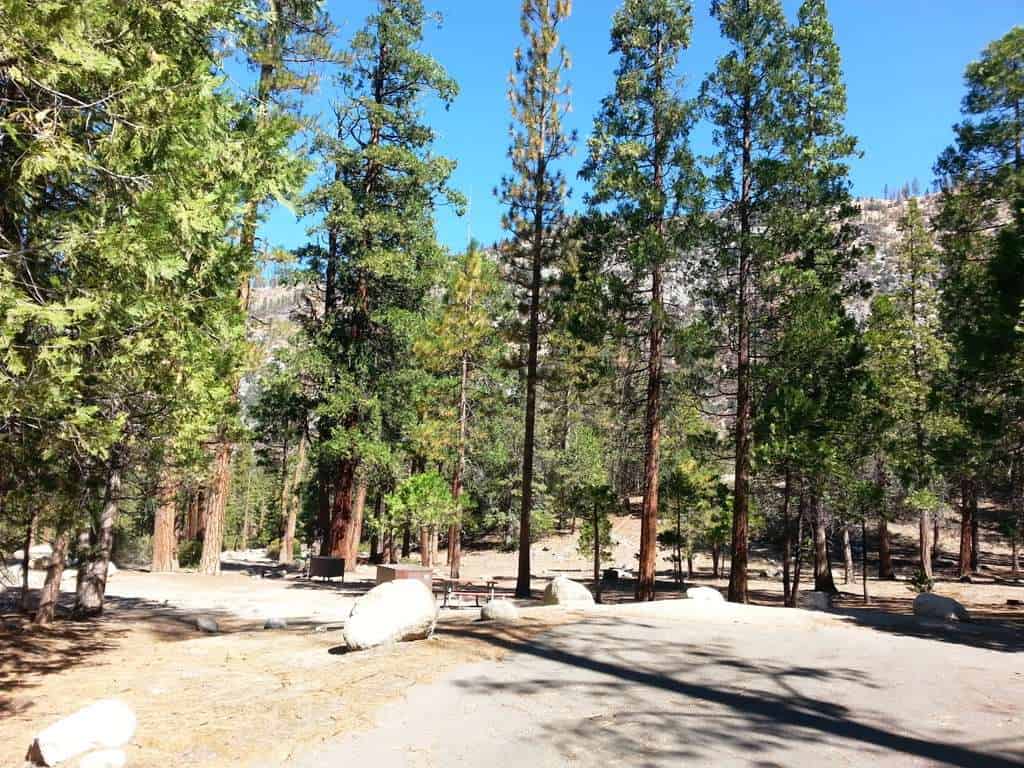 Moraine Campground (Cedar Grove)