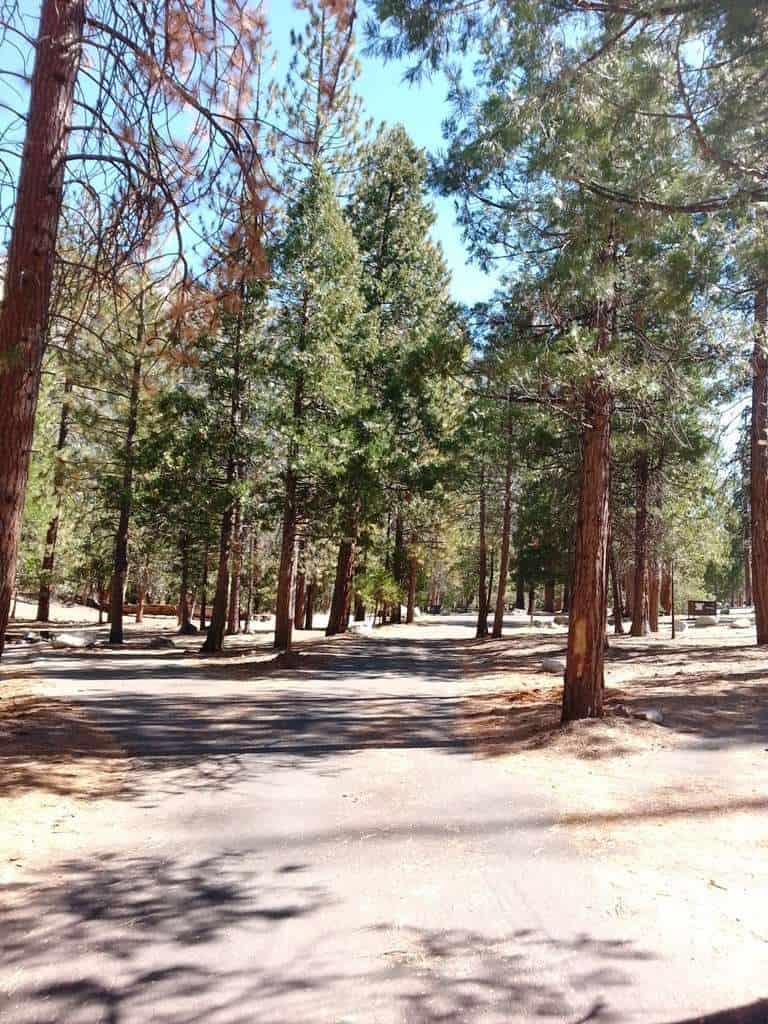 Moraine Campground (Cedar Grove)