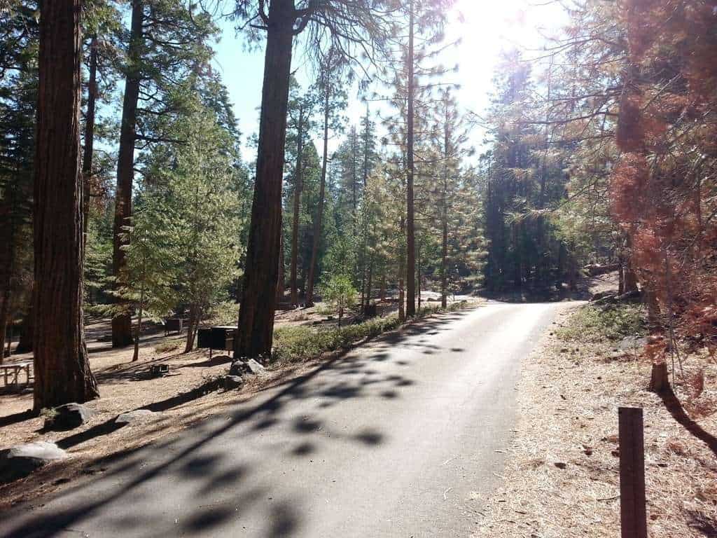 Sheep Creek Campground