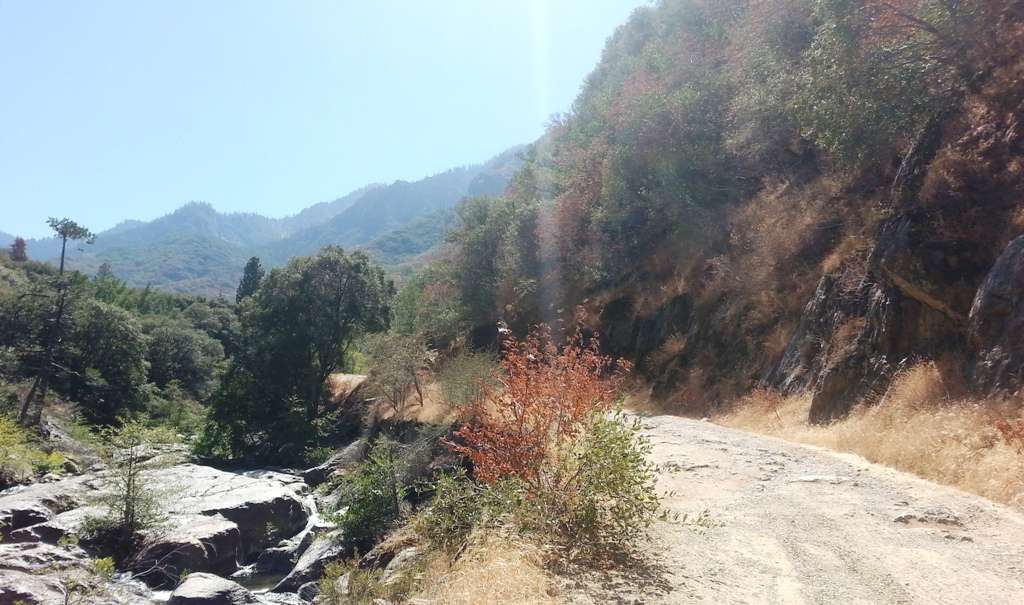 South Fork Campground