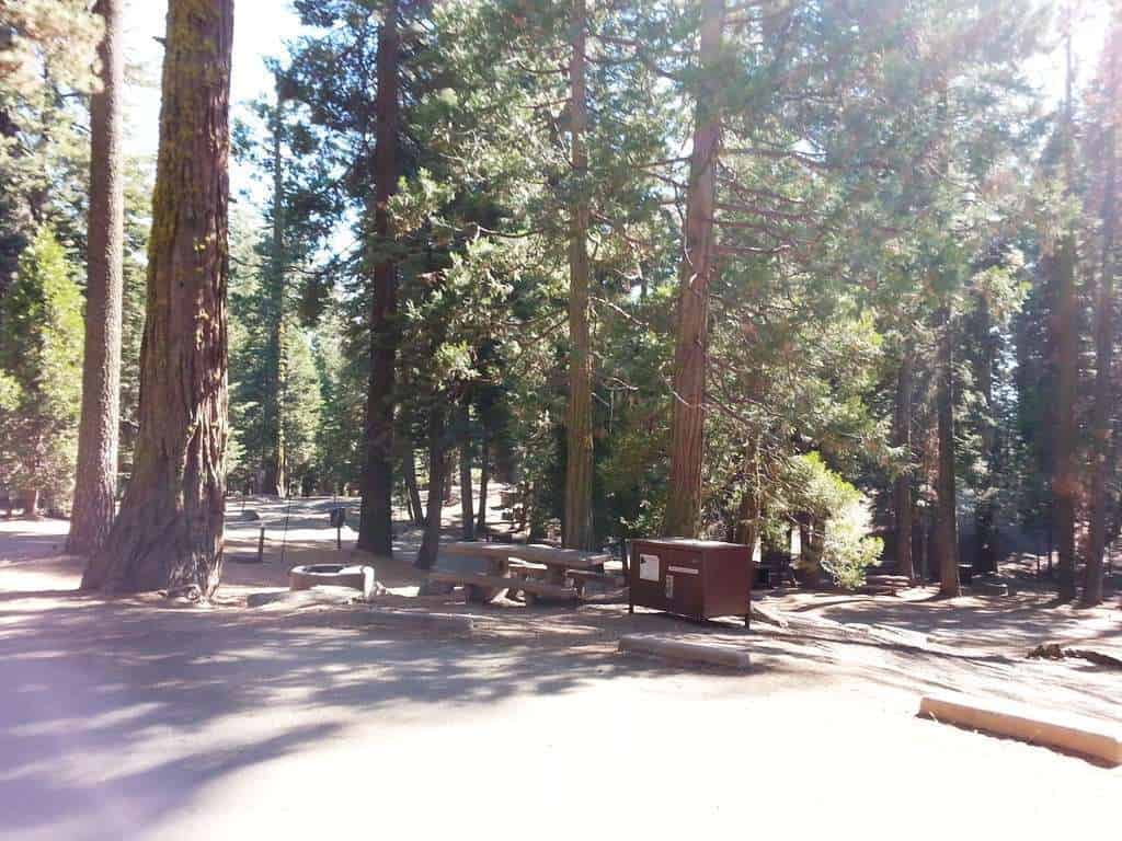 Sunset Campground (CA)