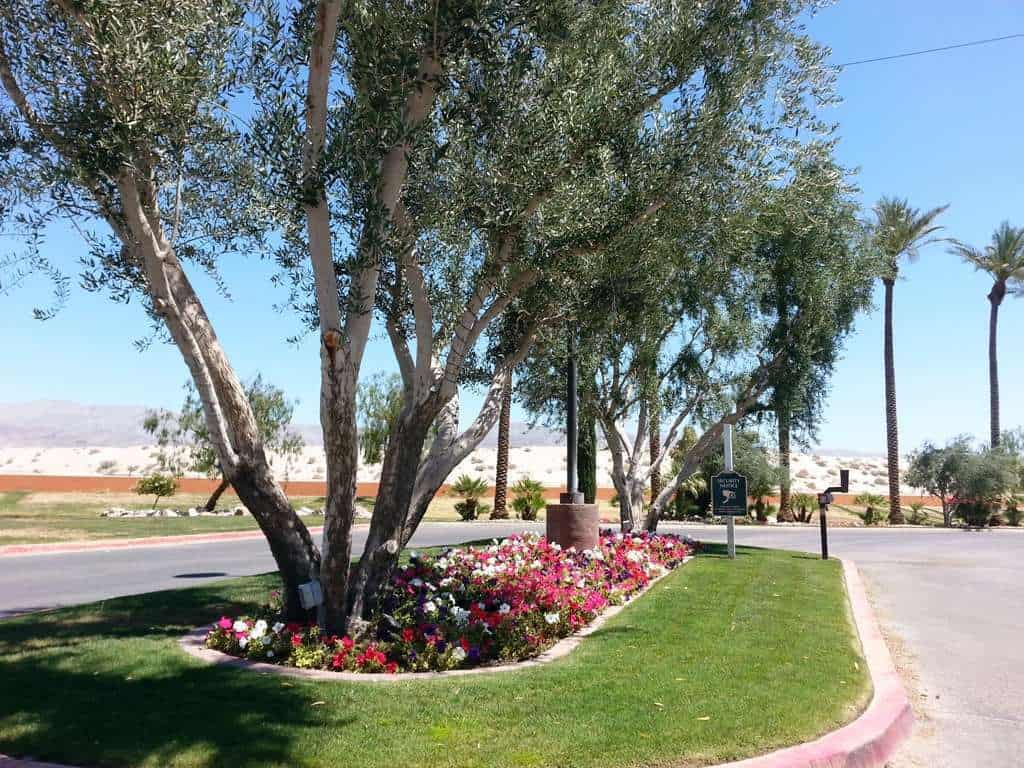 Vineyards Luxury Motor Coach RV Resort and Golf Course