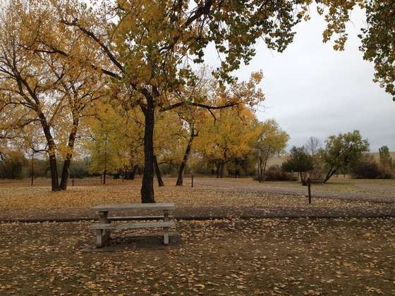 Downstream Campground