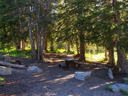 Albion Basin Campground