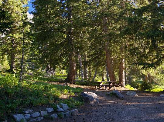 Albion Basin Campground