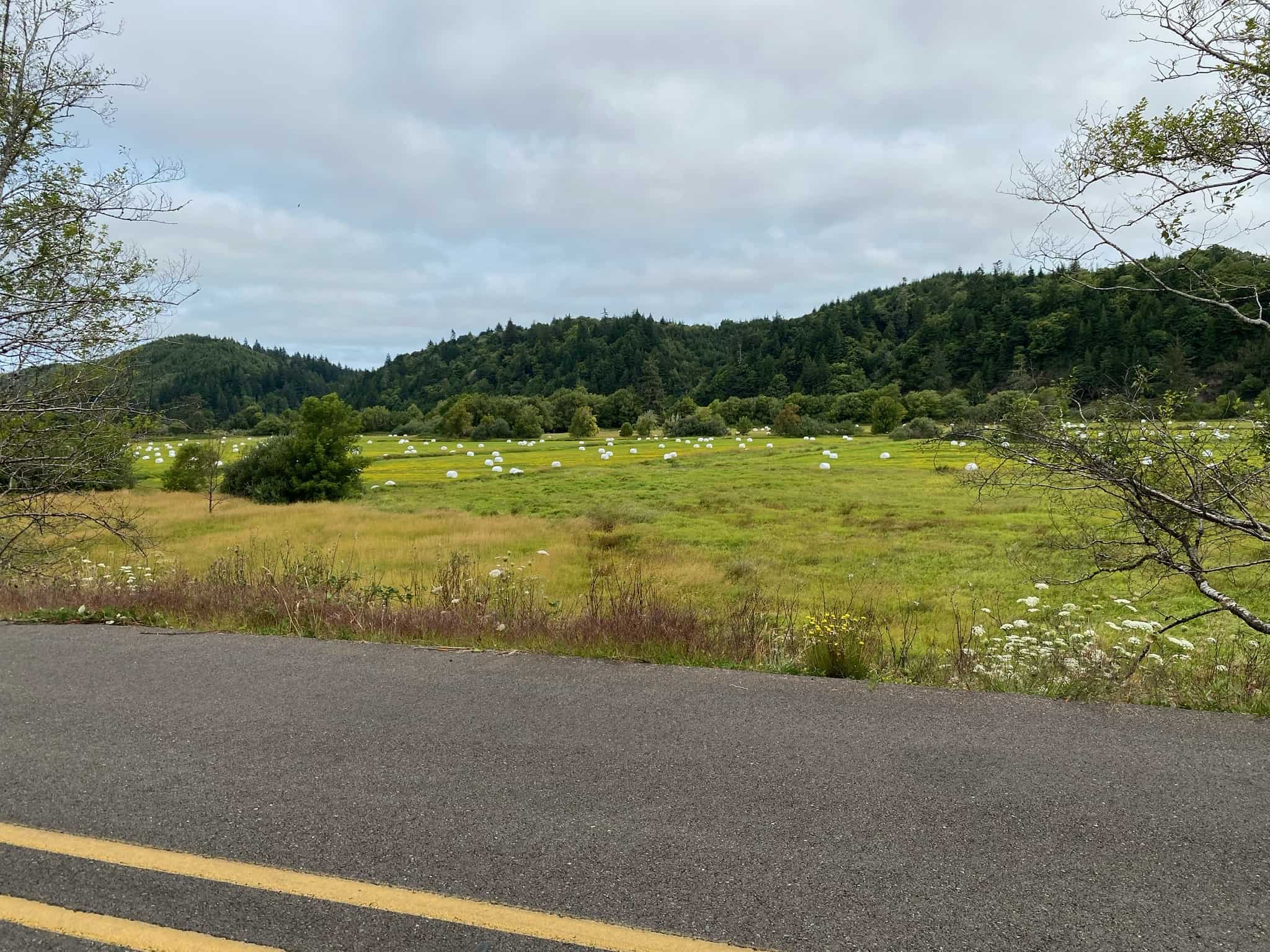 Coquille River RV Park