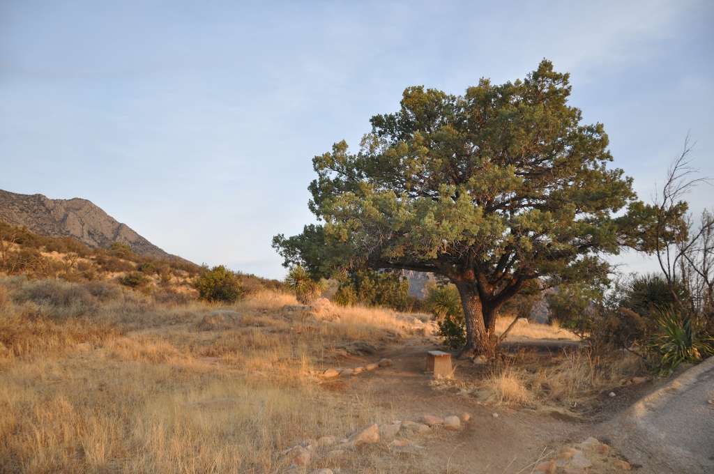 Aguirre Spring Campground