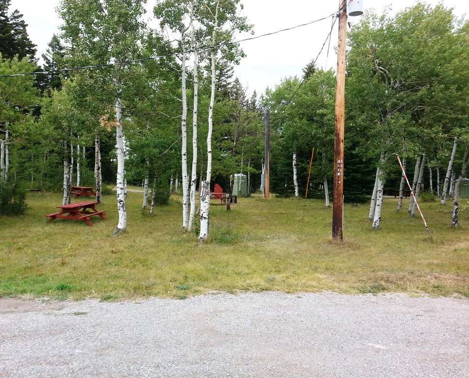 Leaning Tree Cafe and Campground