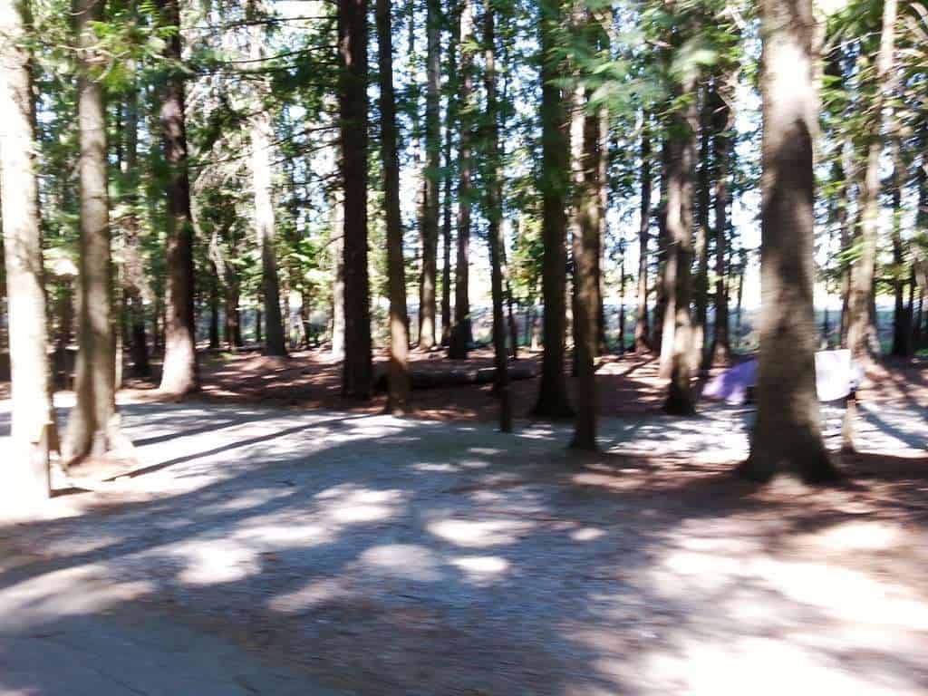 Priest River Campground "Mudhole"