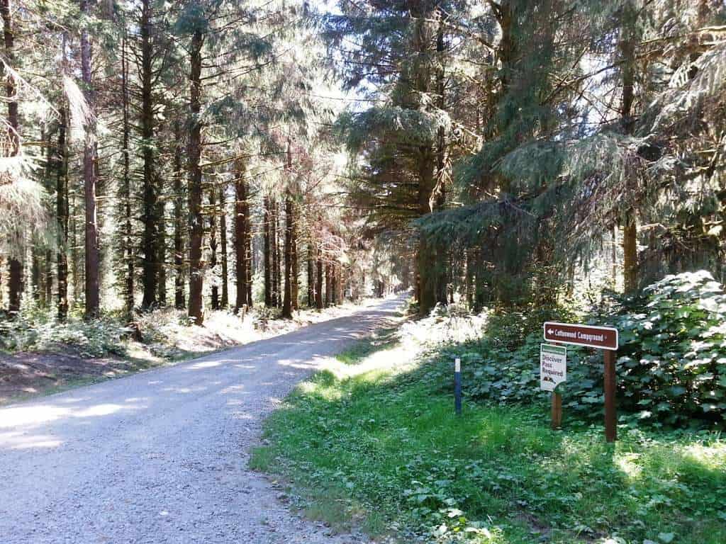 Cottonwood Campground