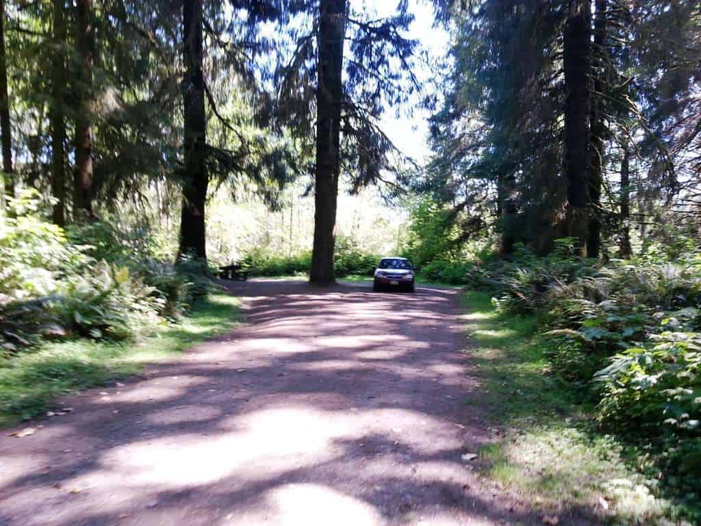 Cottonwood Campground