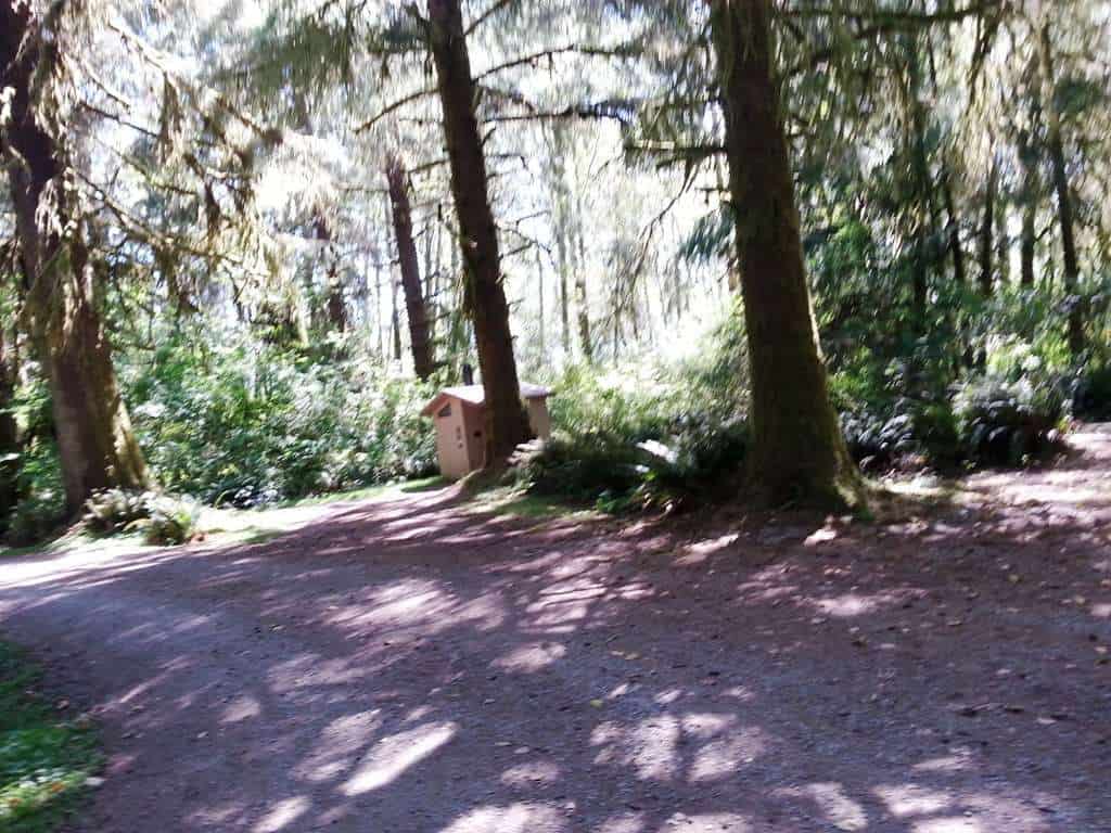 Cottonwood Campground