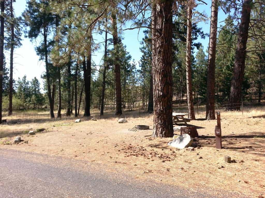 Dragoon Creek Campground