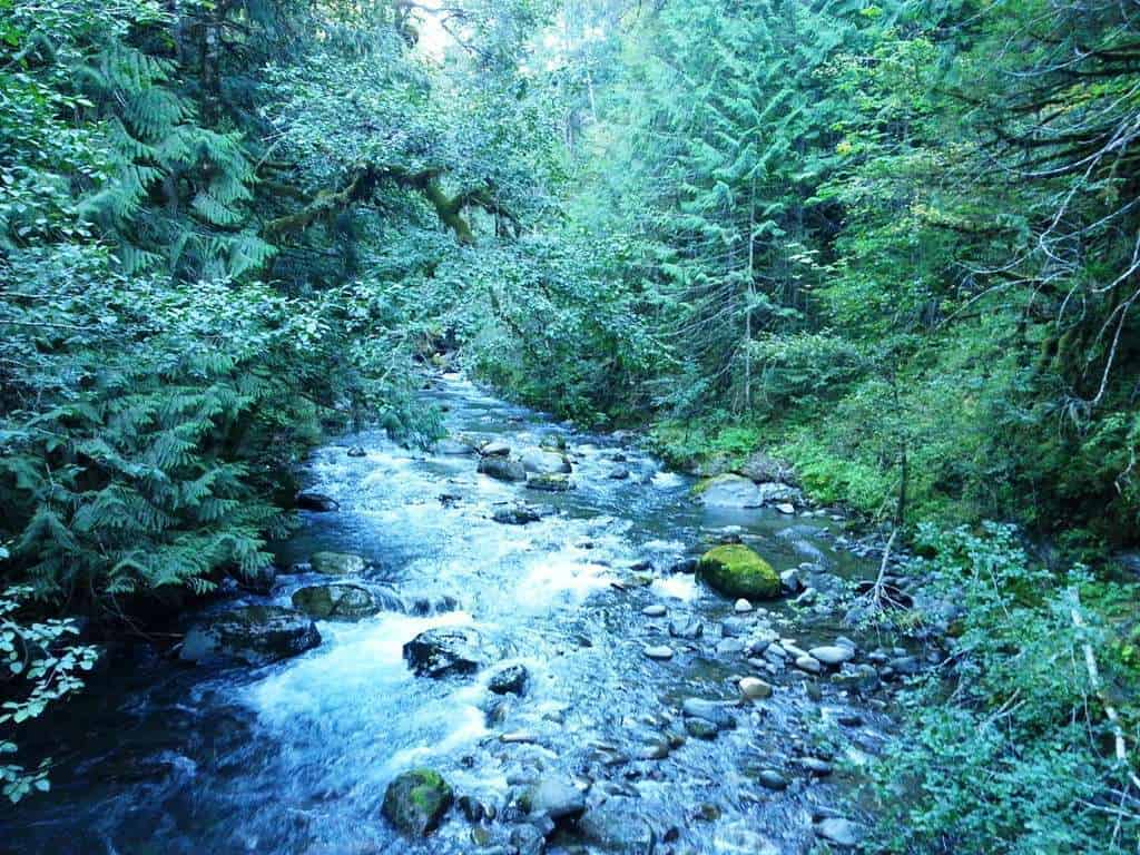 Dungeness Forks Campground