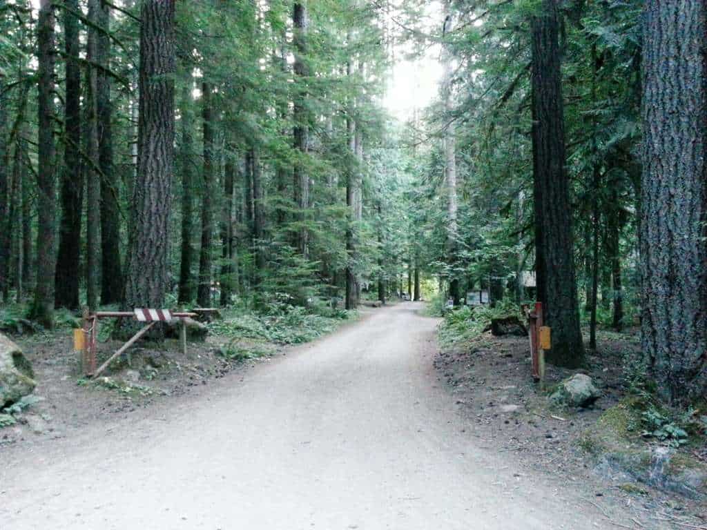 Dungeness Forks Campground