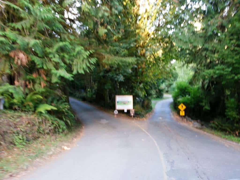 Falls Creek Campground