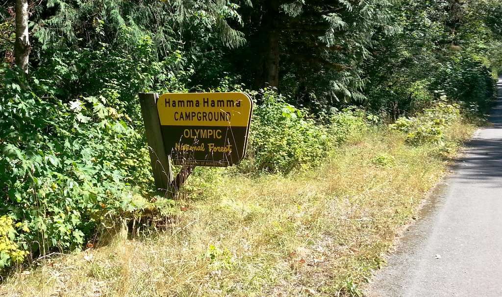 Hamma Hamma Campground