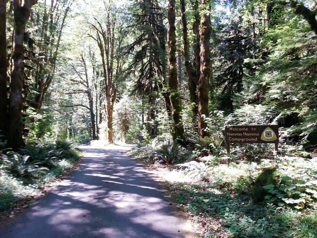 Hamma Hamma Campground