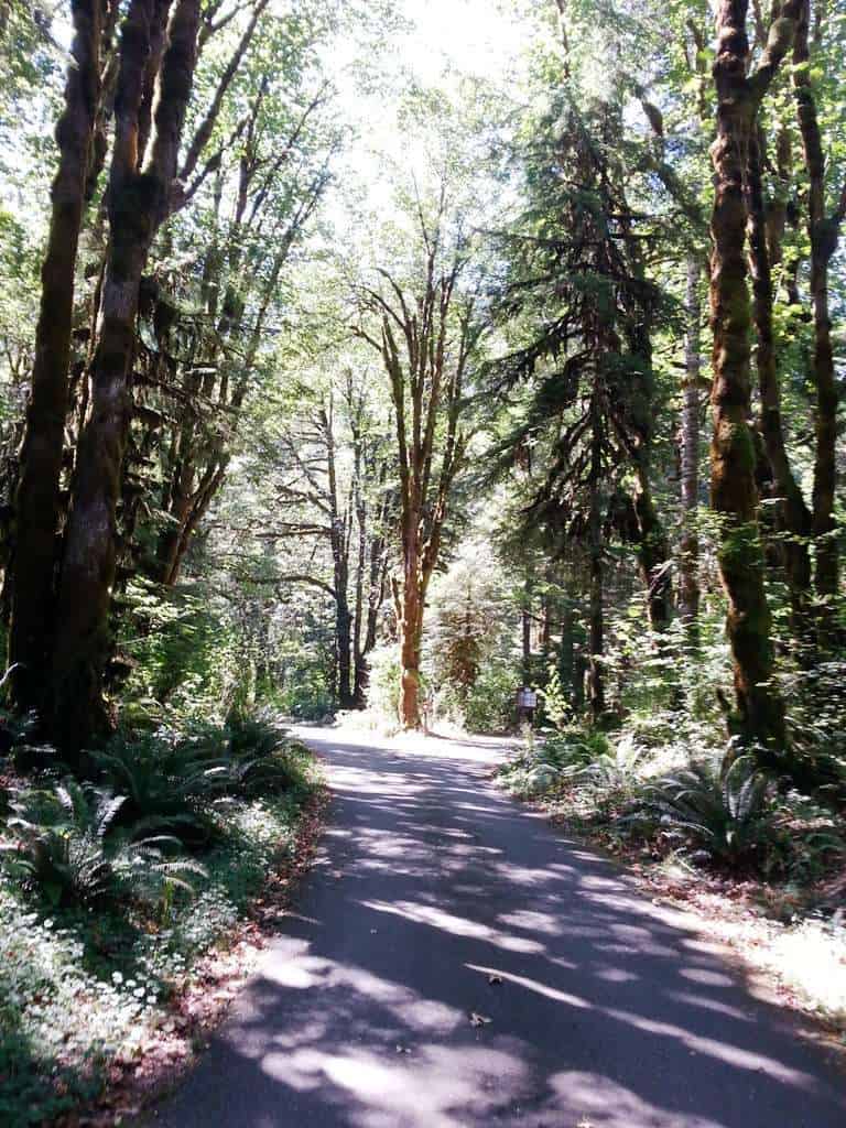 Hamma Hamma Campground