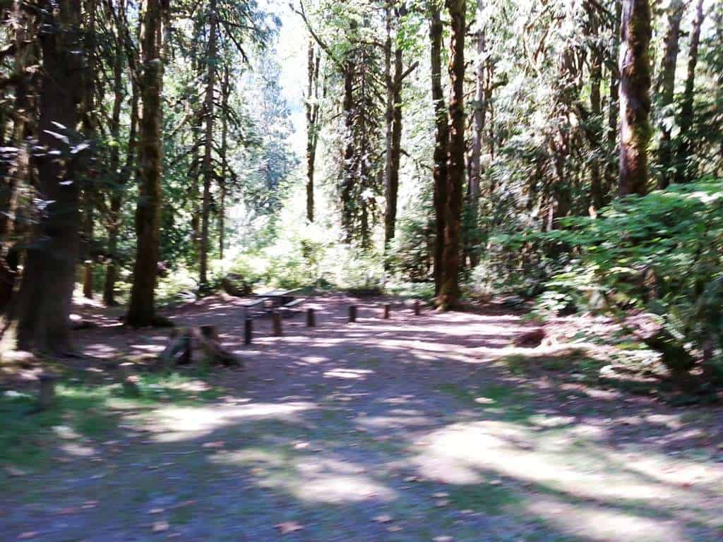 Hamma Hamma Campground