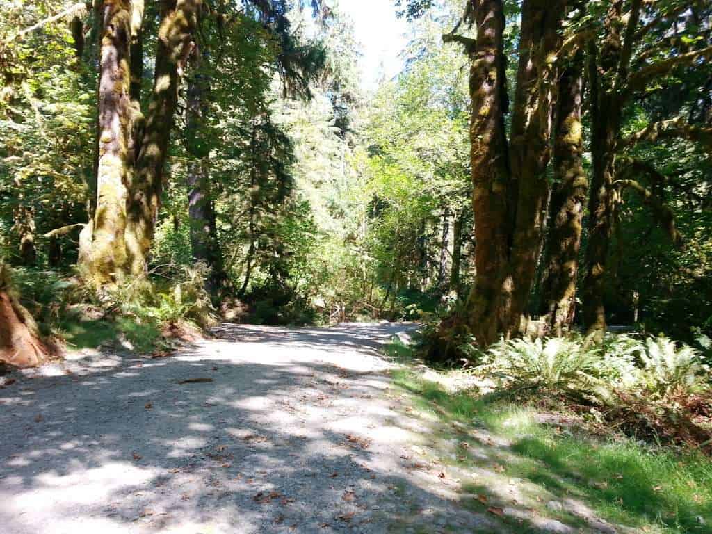 Minnie Peterson Campground