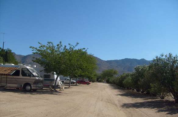 Chloride Western RV Park