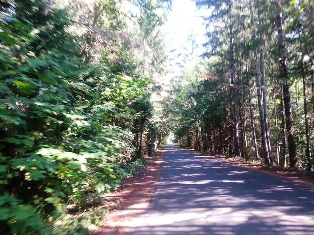 Seal Rock Campground