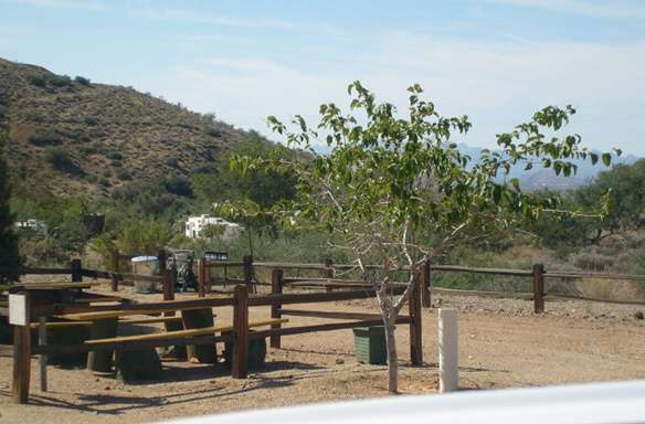 Chloride Western RV Park