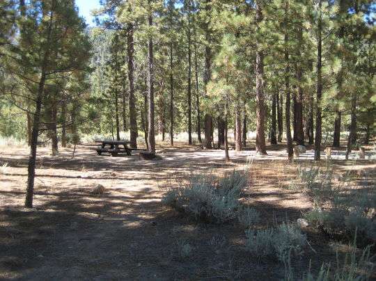 Heart Bar Campground