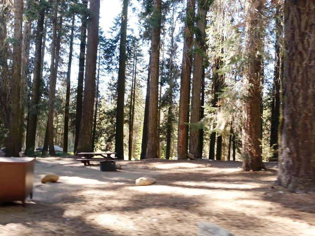 Stony Creek Campground