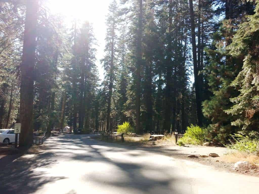 Stony Creek Campground