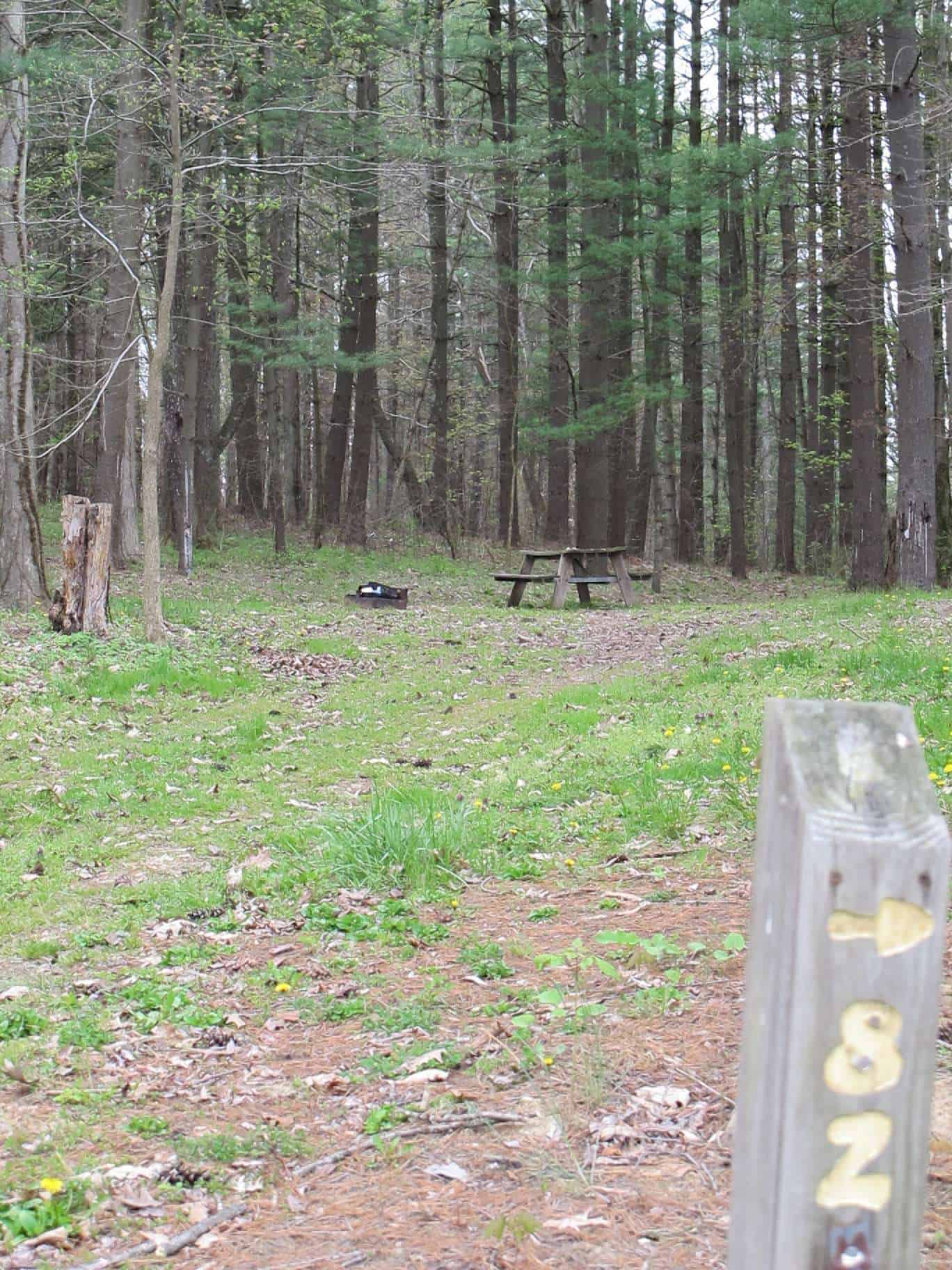 Clendening Lake Marina and Campground