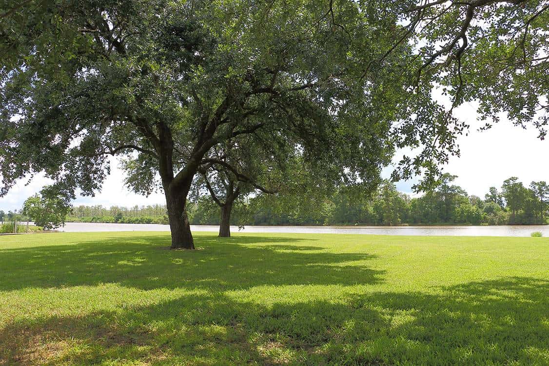 Beaumont RV and Marina