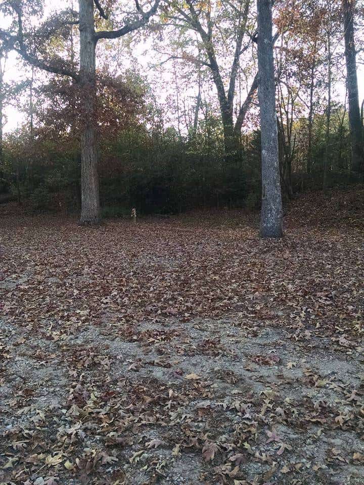 Oasis Outreach Christian Campground