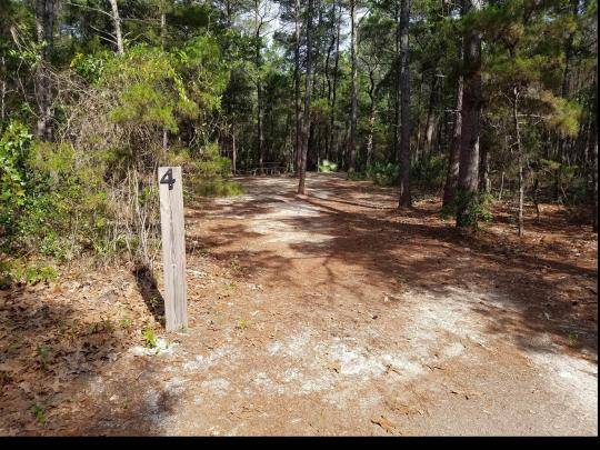 Eastern Lake Campground Point Washington State Forest