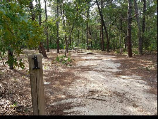 Eastern Lake Campground Point Washington State Forest