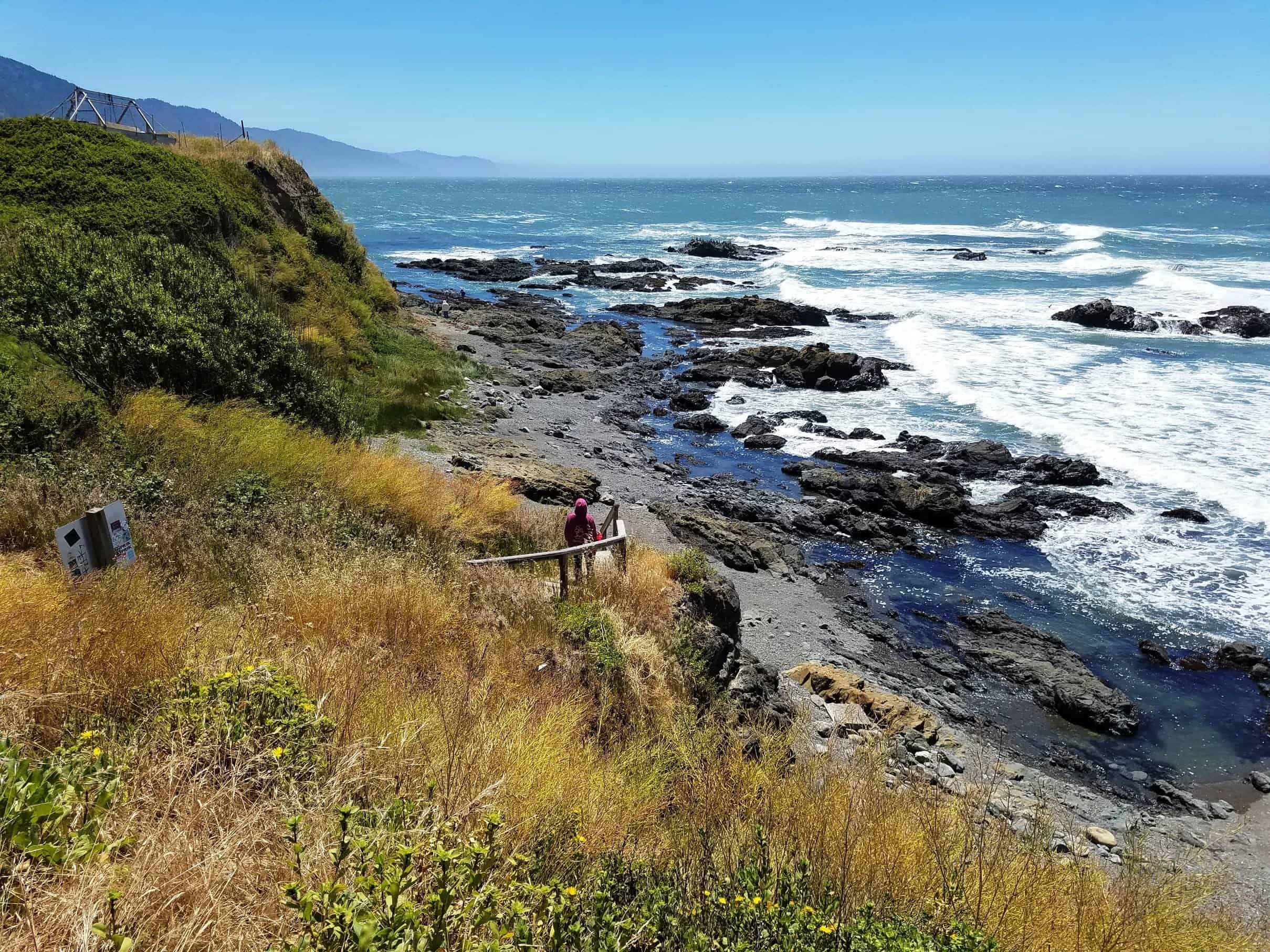 Shelter Cove Campground and RV Park