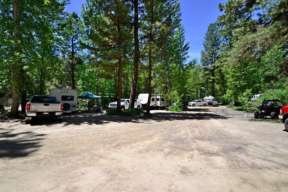 Pine Resort and Motel