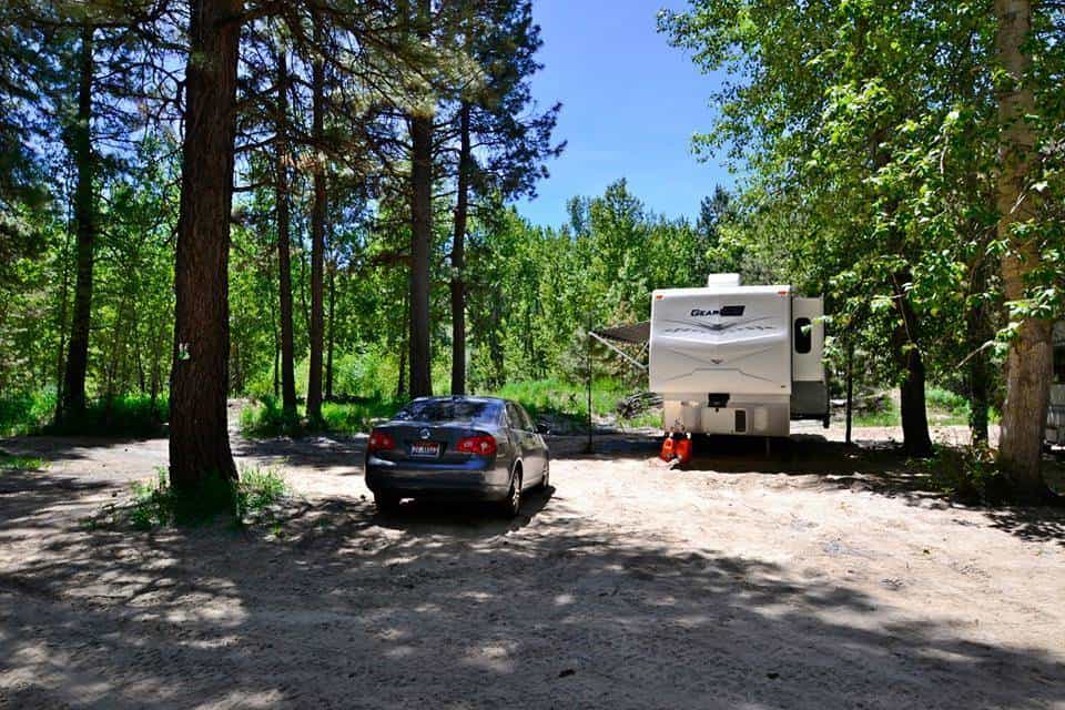 Pine Resort and Motel