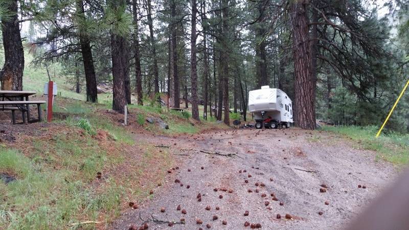 Fall Creek Resort and Marina