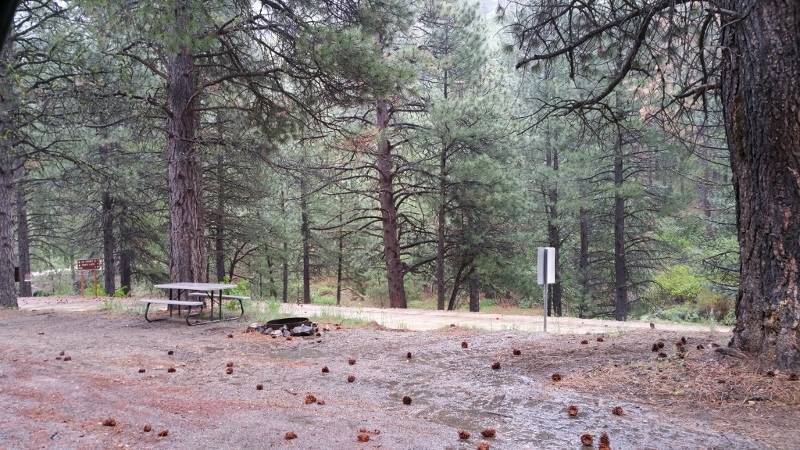 Fall Creek Resort and Marina