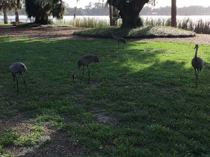 The Outpost RV Park Resort