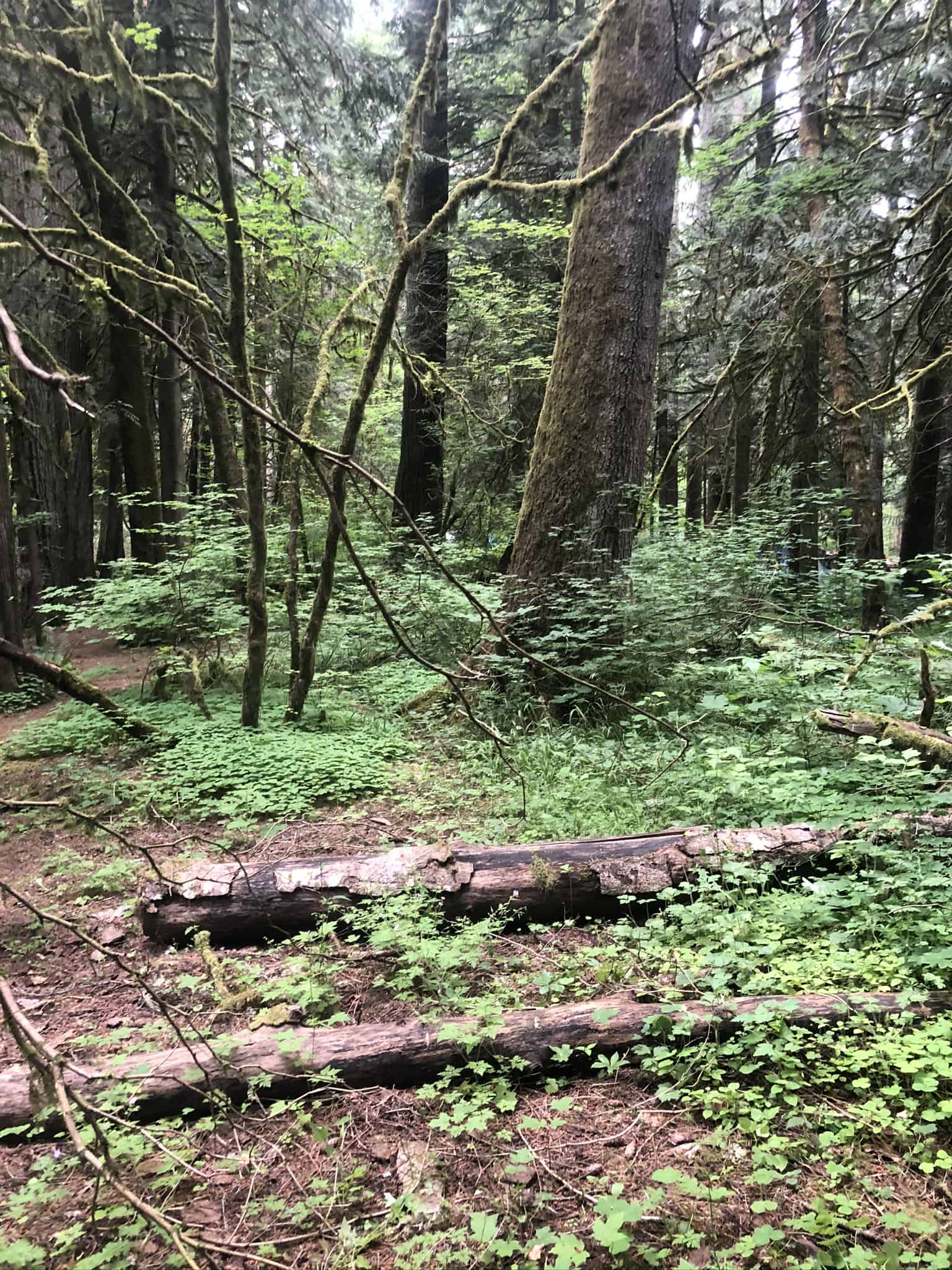 Rainbow Falls State Park
