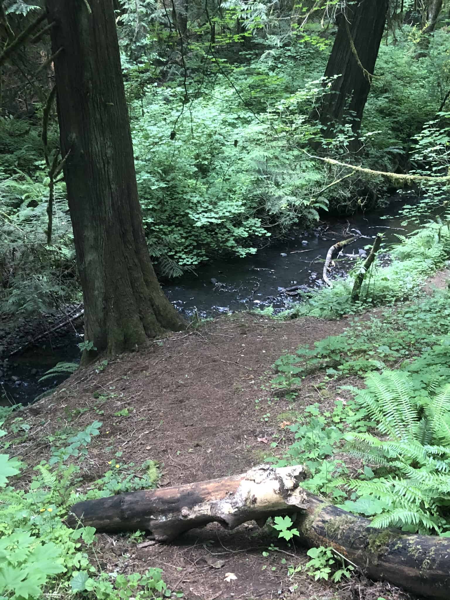 Rainbow Falls State Park