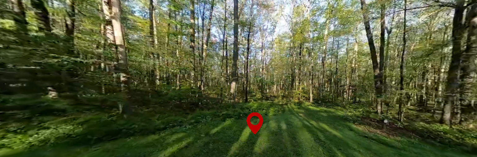 Tracy Ridge Campground