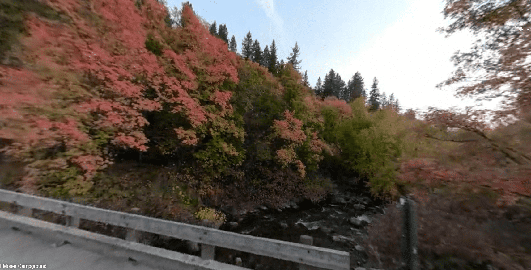 Albert Moser Campground