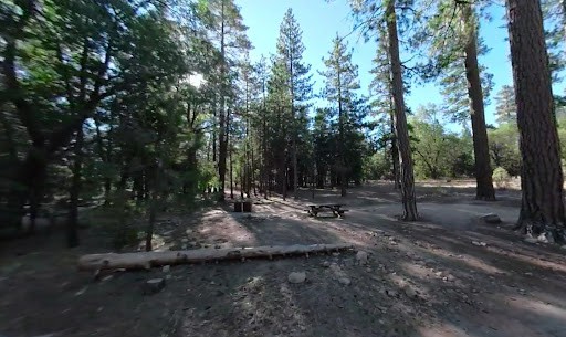 Barton Flats Family Campground