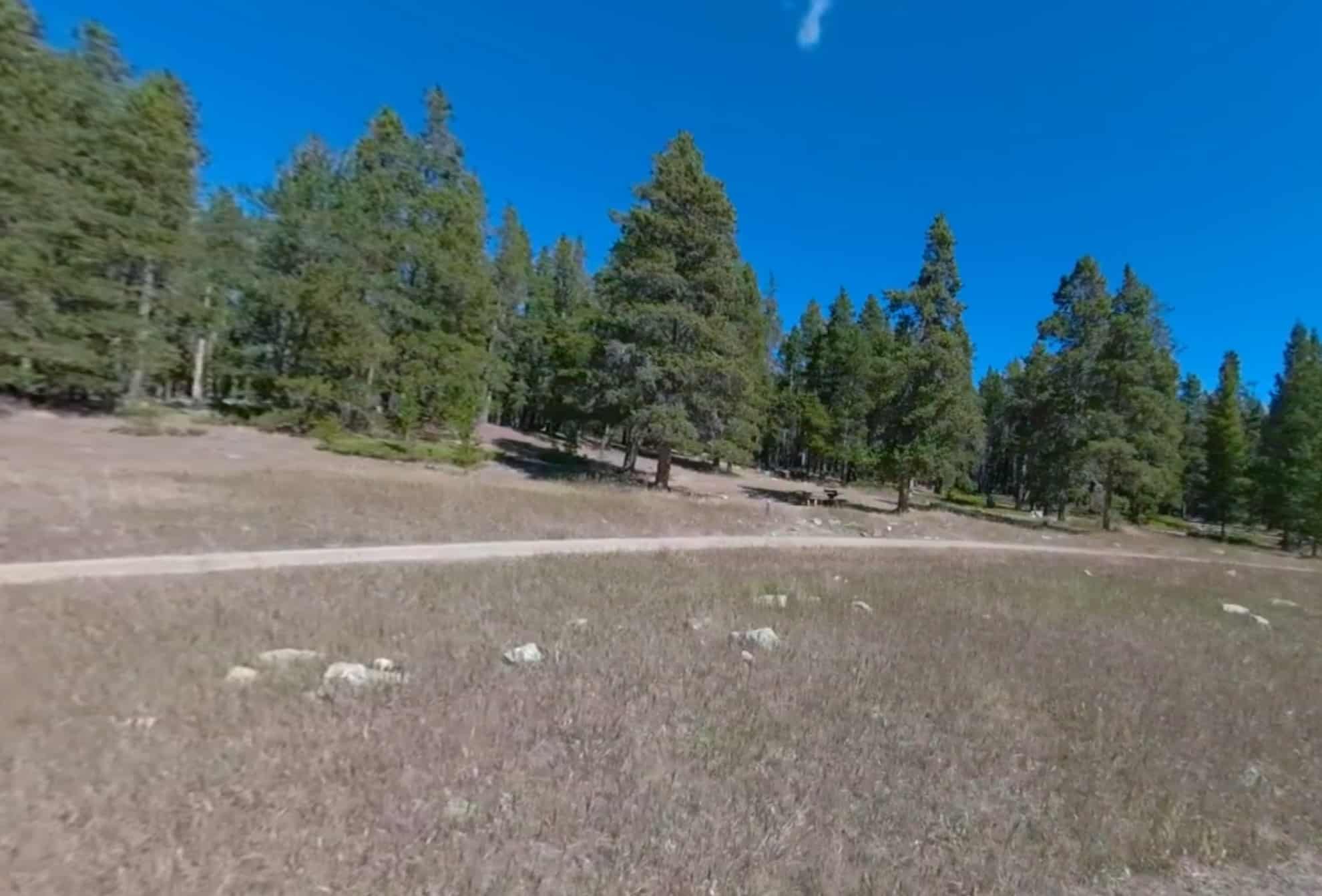 Doyle Creek Campground